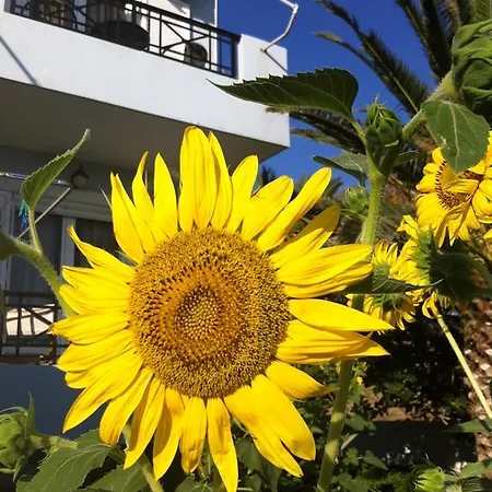 Daire Vasila Seaview Tavari