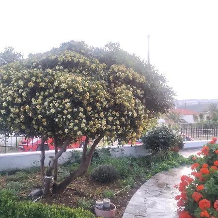 Vasila Seaview Tavari