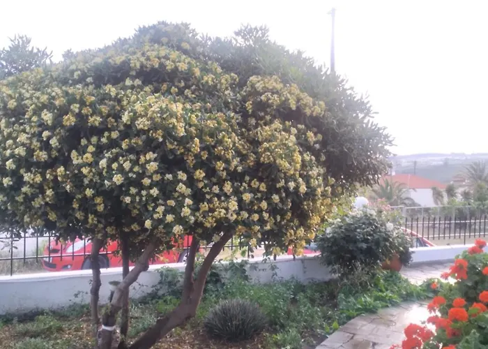 Vasila Seaview Tavari